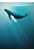 Fototapete Artsy Humpback Whale Blau von Komar