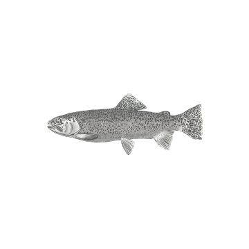 Fototapete Fisch Weiß und Schwarz von ESTAhome