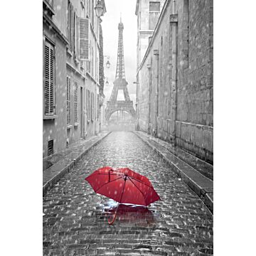 Fototapete Paris Ansicht Grau und Rot von ESTAhome
