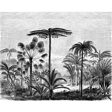 Fototapete tropische Landschaft mit Palmen Schwarz-Weiß von ESTAhome