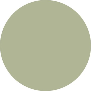 Wandfarbe matt  Graugrün von ESTAhome