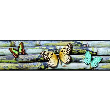 selbstklebende Tapetenbordüre Schmetterlinge Grau, Gelb und Blau von Sanders & Sanders