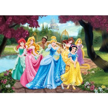 Poster Prinzessinnen Rosa, Gelb und Blau von Disney