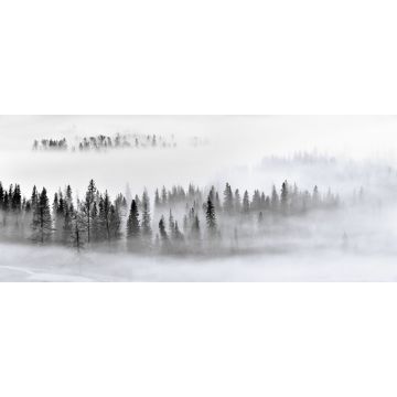 Fototapete Berglandschaft mit Bäumen Schwarz, Weiß und Grau von Sanders & Sanders