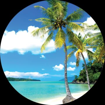 selbstklebende runde Tapete tropische Landschaft mit Palmen Blau und Grün von Sanders & Sanders
