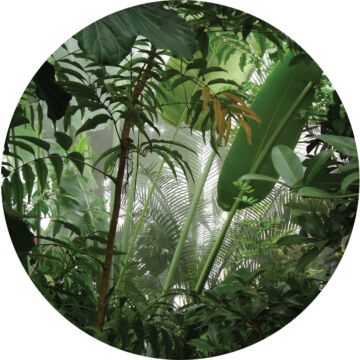 selbstklebende runde Tapete tropische Dschungelblätter Dschungelgrün von Sanders & Sanders