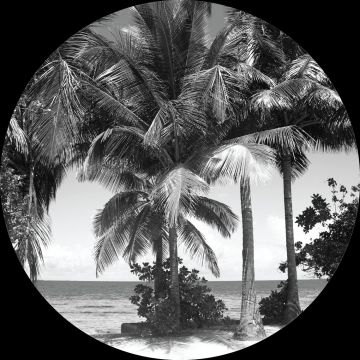 selbstklebende runde Tapete tropische Landschaft mit Palmen Schwarz-Weiß von Sanders & Sanders