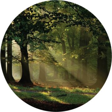 selbstklebende runde Tapete bewaldete Landschaft Grün von Sanders & Sanders