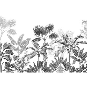 Fototapete tropische Landschaft mit Palmen Schwarz-Weiß von Sanders & Sanders