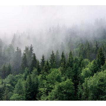 Fototapete Berglandschaft mit Bäumen Grün von Sanders & Sanders