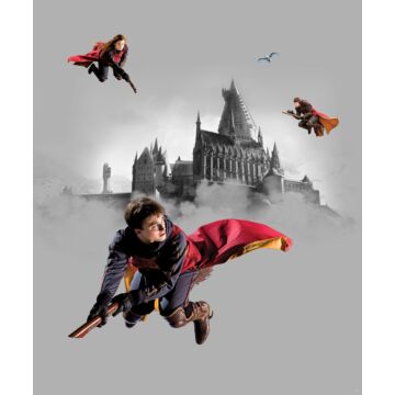 Fototapete Harry Potter Hogwarts Grau und Rot von Sanders & Sanders
