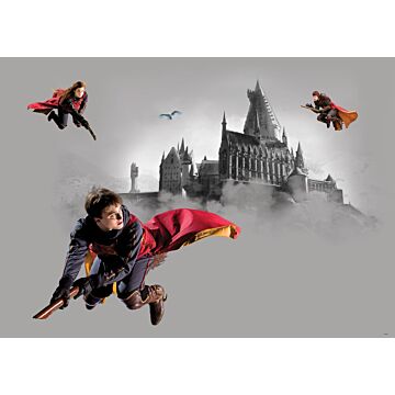 Poster Harry Potter Hogwarts Grau und Rot von Sanders & Sanders