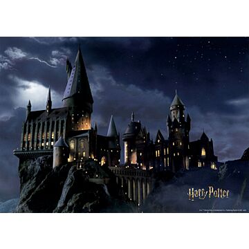 Poster Harry Potter Hogwarts Schwarz und Dunkelblau von Sanders & Sanders
