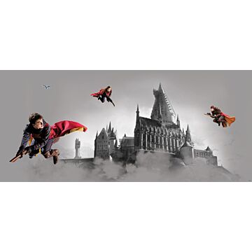 Poster Harry Potter Hogwarts Grau und Rot von Sanders & Sanders