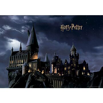 Fototapete Harry Potter Hogwarts Schwarz und Dunkelblau von Sanders & Sanders