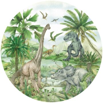 selbstklebende runde Tapete Dinosaurier Grün von Sanders & Sanders