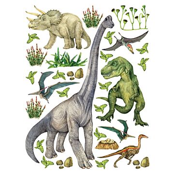 Wandtattoo Dinosaurier Grün von Sanders & Sanders