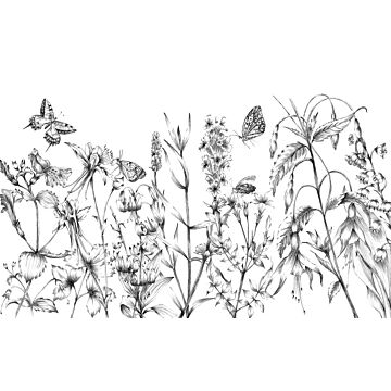 Fototapete Butterfly Field Schwarz-Weiß von Komar