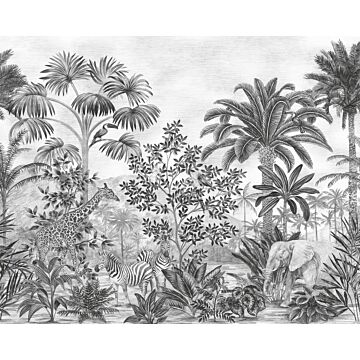 Fototapete Jungle Evolution Schwarz-Weiß von Komar