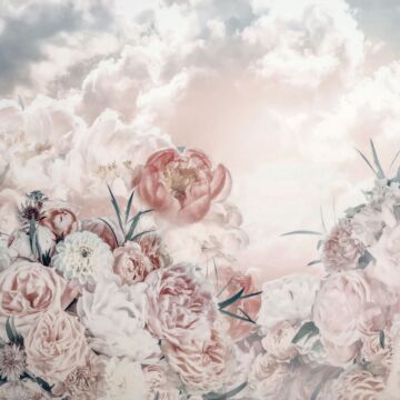 Fototapete Blossom Clouds Rosa von Komar