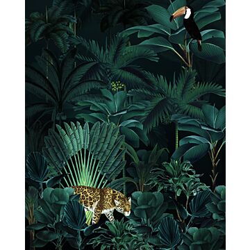 Fototapete Jungle Night Grün von Komar