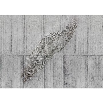 Fototapete Concrete Feather Grau von Komar