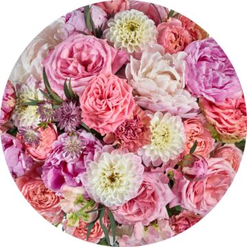 selbstklebende runde Tapete Blüten Rosa von Sanders & Sanders