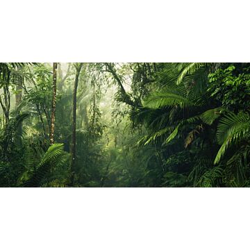 Fototapete Dschungel Grün von Sanders & Sanders