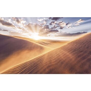 Fototapete Wüste Beige von Sanders & Sanders
