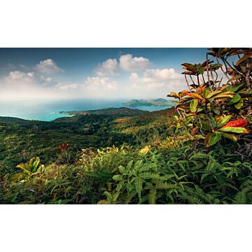 Fototapete tropische Landschaft Grün und Blau von Sanders & Sanders